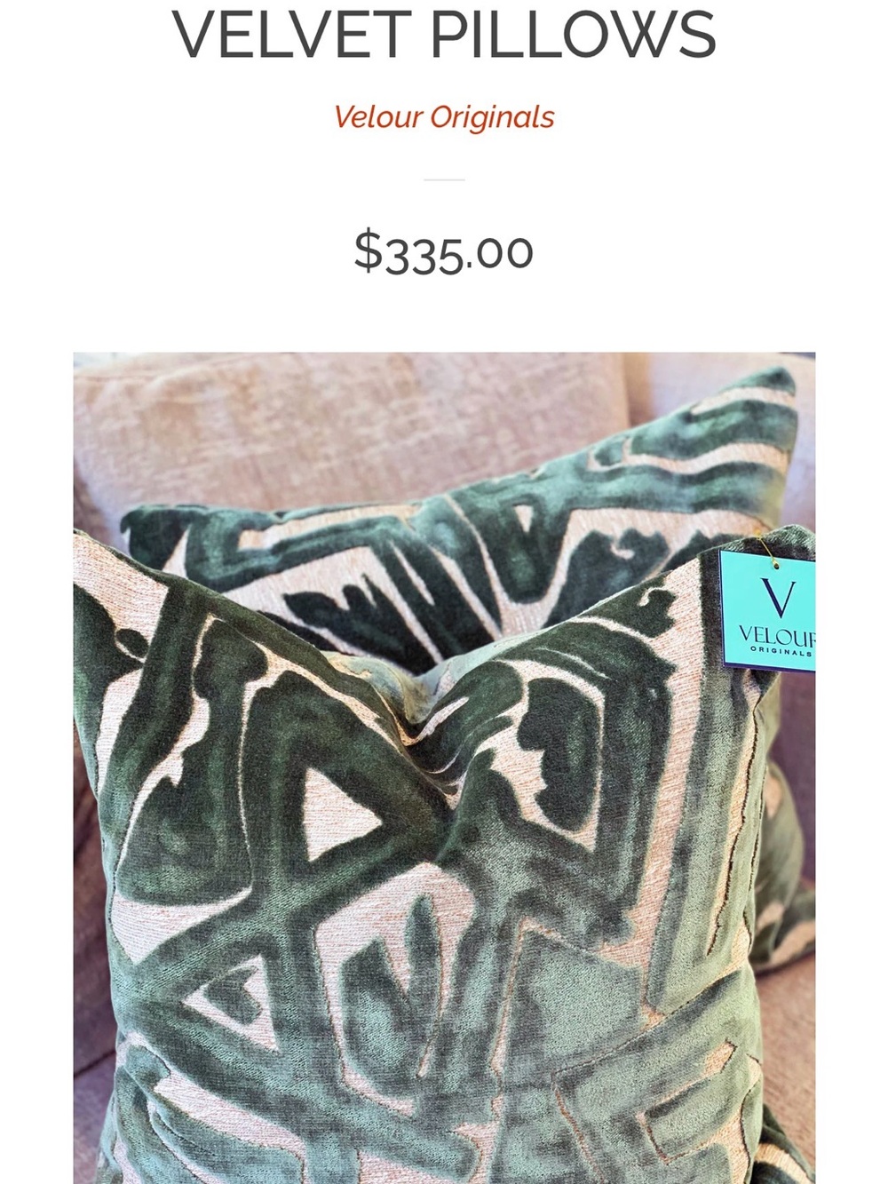Decorative Velvet Throw Pillow in Sage Green - Home Accents COVER ONLY - Picture 3 of 3